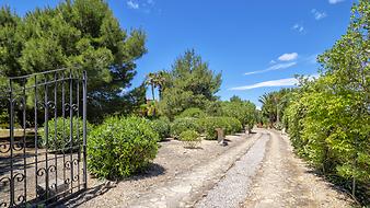 Finca Can Torrecita: Aussenbereich