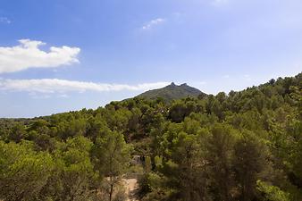 Finca Can Torrecita: Puig de Sant Salvador - Felanitx