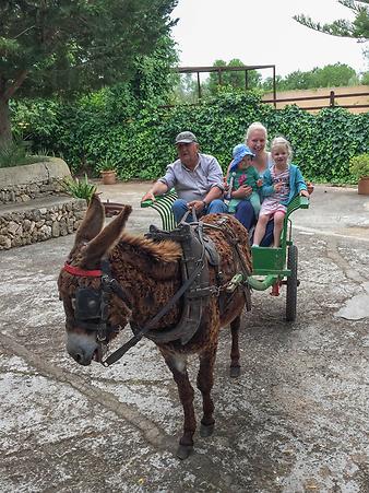 Finca Son Cifre Nou: Kutschfahrt mit Llorenc