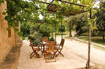 Finca S' Hort de sa Begura: Wein berankte Terrasse 