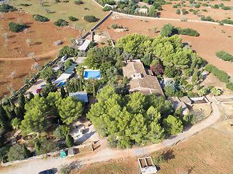 Finca Son Cifre Nou: Ostansicht