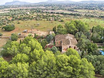 Finca Son Cifre Nou: Westansicht