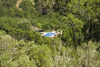 Finca Son Torrat: Die Wallfahrtskirche Bonany liegt ca. 500 Meter oberhalb der Finca Son Torrat. Dies ist der Blick vom Aussichtspunkt der Kirche auf Son Torrat, der Pool ist gut zu erkennen. Das Haus liegt etwas hinter den Bäumen versteckt. 