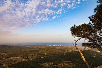 Finca Cas Verros: Blick vom Santuari Sant Salvador über Mallorca