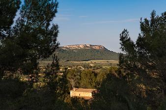 Finca Cas Verros: Blick vom Santuari Sant Salvador über Mallorca