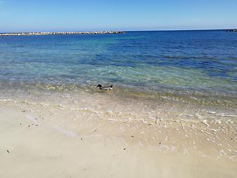 Ferienwohnung Ses Roques de Cala Bona: Oktober Enten