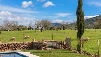 Finca S'Estador: Tiere auf der Finca