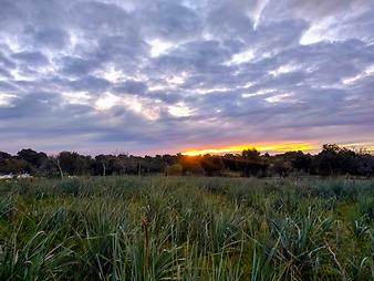 Finca Cas Padri Guillem: Sonnenaufgang