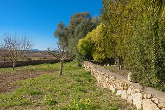 Finca Son Fangos: Finca Son Fangos - Manacor