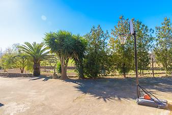 Finca Son Fangos: Basketball