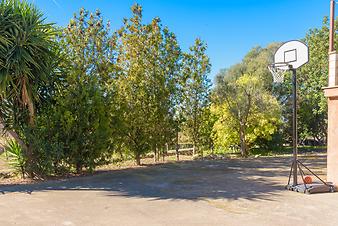 Finca Son Fangos: Basketball