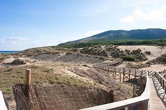 Finca Es Moli d'en Creu: Cala Mesquida