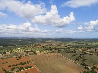 Finca Son Cifre Nou: Agroturisme Son Cifre Nou