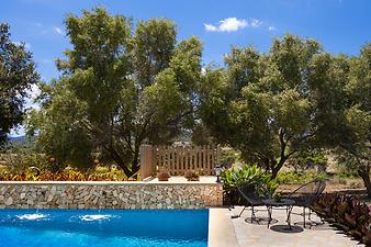 Finca Son Negre: Pool der Finca