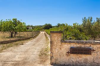 Finca Son Duri Nou: Son Duri Nou