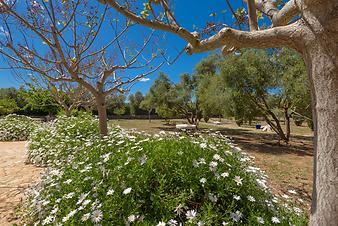 Finca Can Prim: Mallorca im Frühjahr