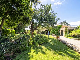 Finca Sa Vaquería: Finca Sa Vaqueria bei Porto Cristo Mallorca Rasenflächen