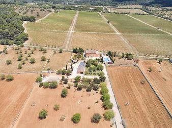 Finca Cas Cuni: 005 dron exterior cas cuni.JPG