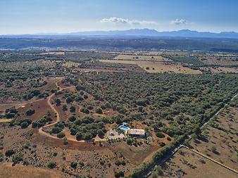 Finca Casa Yolanda: 007 dron casa yolanda.JPG