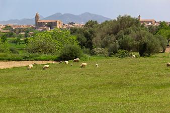 Finca Es Bassons: Petra auf Mallorca