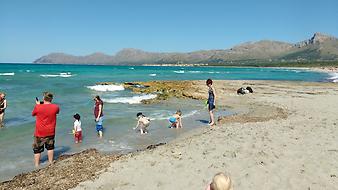 Finca Es Bassons: Son Serra de Marina an der Bucht von Alcudia