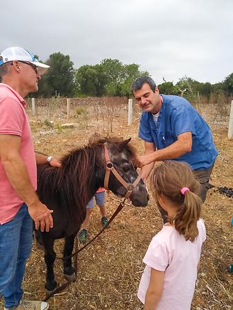 Finca Cas Padri Guillem: Pedro bekommt Impfung