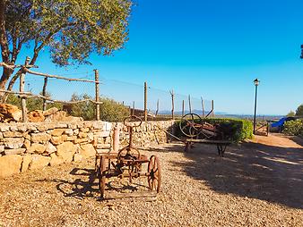 Finca Es Rafal Roig: Landwirtschaft Es Rafal Roig Mallorca