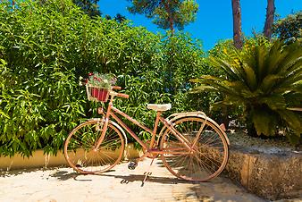 Finca Sa Creu de S'Auma: Fahrrad zur Dekoration