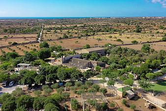 Finca Sa Gruta Vella: Meerblick von Sa Gruta Vella