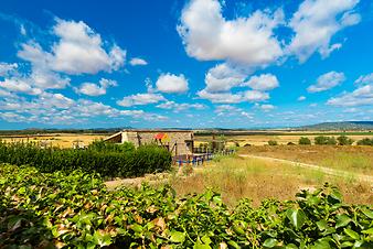 Finca Sa Franquesa Vella: _SR62183.jpg