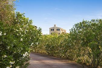 Finca Sa Corbaia: Finca Sa Corbaia - Artá - Mallorca