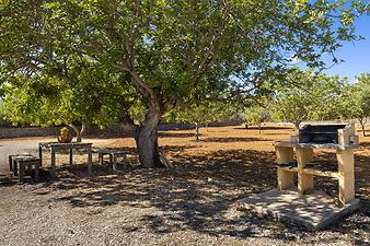 Finca Na Llambies: Holzkohlegrill 