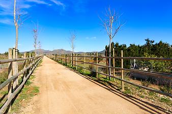 Finca Son Sard d'es Padri: Via Verde - Grüner Weg Manacor-Artá