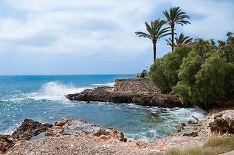 Strand Cala Bona: DSC_0943.jpg