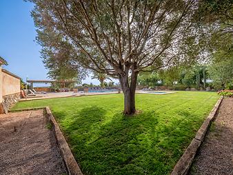 Finca Son Rosinyol Nou: Finca Son Rosinyol Nou - Felanitx