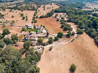 Finca Can Menut: prähistorische Höhle Ca'n Menut 