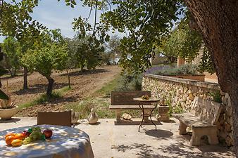 Finca Nines: Steinbänke im Garten.