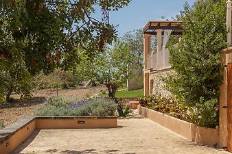 Finca Nines: Garten der Finca