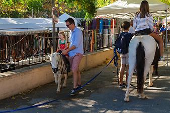 Finca Can Porretí: Ponyreiten in Sineu