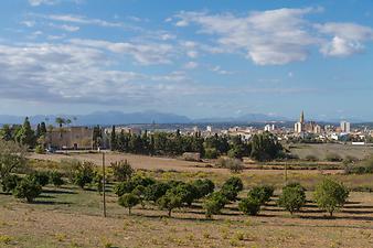 Finca Llum: Blick aus dem Fenster auf Manacor