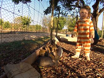 Finca Ses Bitles: Kaninchen auf der Finca