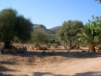 Finca Ses Bitles: Ansicht der Finca