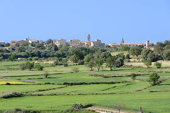 Finca Can Casta: Blick auf Petra