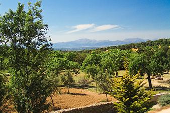 Finca Ses Bitles: Tramuntana Gebirge