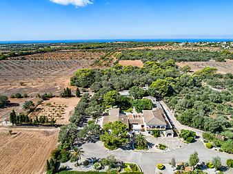 Finca Els Marsals: Els Marsals Auf nach  dron 001.JPG