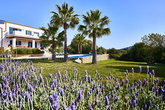 Finca Mira al Campo: Lavendel und Palmen