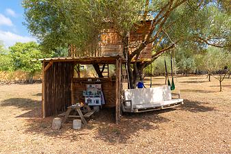 Finca Can Prim: Casa 108 Can Prim Auf nach Mallorca 026.JPG