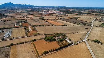 Finca Es Lledoner II: Die Finca von oben