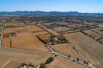 Finca Es Lledoner II: Anreise