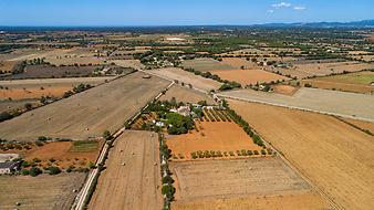 Finca Es Lledoner II: Lage